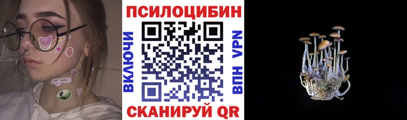 kraken как войти  наркошоп  Задонск  Галлюциногенные грибы Cubensis 